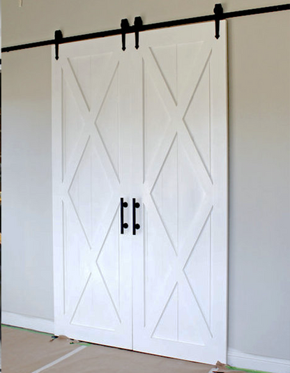 San Xanderix Double X Traditional Barn Door