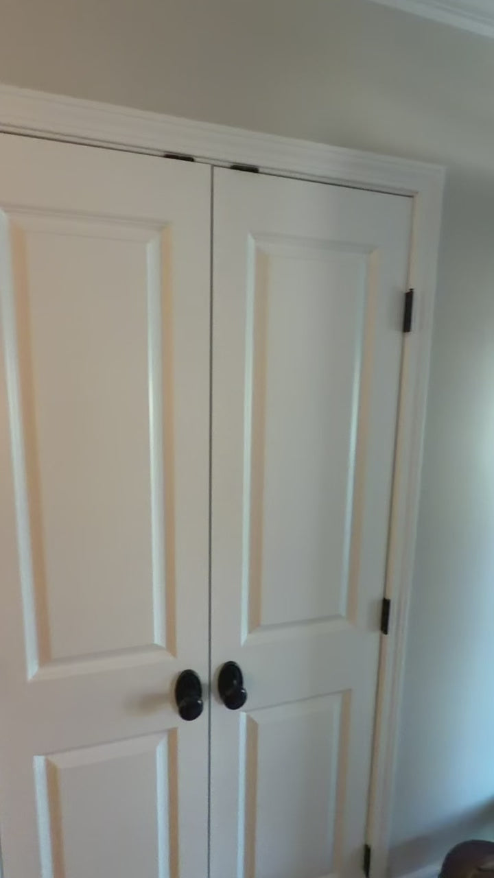 San Alcala Glass Barn Door